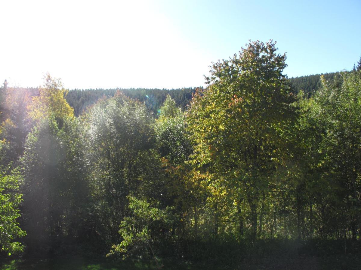Ferienhaus Zweihaeusl Mönichkirchen Esterno foto
